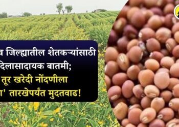 जळगाव जिल्ह्यातील शेतकऱ्यांसाठी दिलासादायक बातमी; तूर खरेदी नोंदणीला ‘या’ तारखेपर्यंत मुदतवाढ!