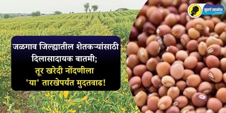 जळगाव जिल्ह्यातील शेतकऱ्यांसाठी दिलासादायक बातमी; तूर खरेदी नोंदणीला ‘या’ तारखेपर्यंत मुदतवाढ!