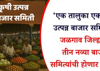 ‘एक तालुका एक कृषी उत्पन्न बाजार समिती’, जळगाव जिल्ह्यात तीन नव्या बाजार समित्यांची होणार निर्मिती