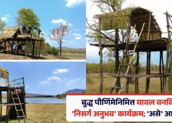 बुद्ध पौर्णिमेनिमित्त यावल वनविभागात ‘निसर्ग अनुभव’ कार्यक्रम; ‘असे’ आहे नियोजन