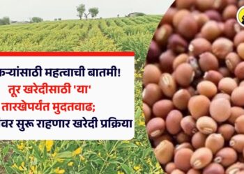 शेतकऱ्यांसाठी महत्वाची बातमी! तूर खरेदीसाठी ‘या’ तारखेपर्यंत मुदतवाढ; 16 केंद्रांवर सुरू राहणार खरेदी प्रक्रिया