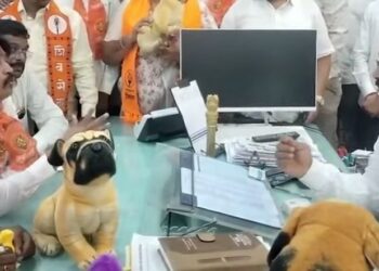 जळगावात मोकाट कुत्र्यांचा उच्छाद; ठाकरेंच्या शिवसेनेचे अनोखे आंदोलन; महापालिका आयुक्तांना धरले धारेवर