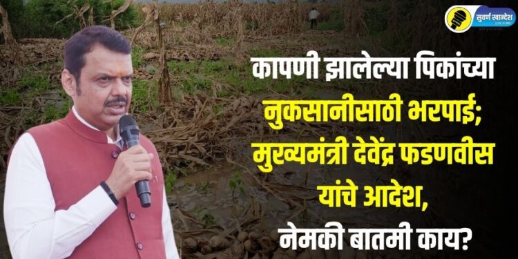 कापणी झालेल्या पिकांच्या नुकसानीसाठी भरपाई; मुख्यमंत्री देवेंद्र फडणवीस यांचे आदेश, नेमकी बातमी काय?
