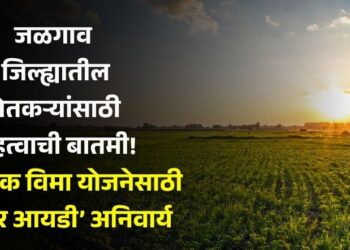 जळगाव जिल्ह्यातील शेतकऱ्यांसाठी महत्वाची बातमी! फळपिक विमा योजनेसाठी ‘फॉर्मर आयडी’ अनिवार्य