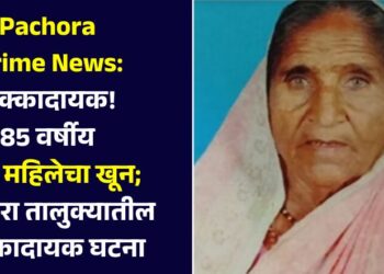 Pachora Crime News : धक्कादायक! 85 वर्षीय वृद्ध महिलेचा खून; पाचोरा तालुक्यातील धक्कादायक घटना