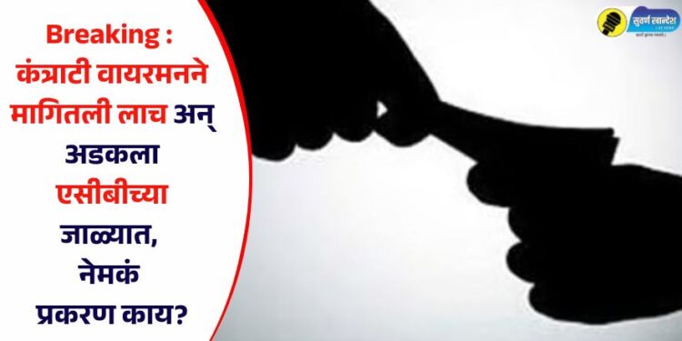 Breaking : कंत्राटी वायरमनने मागितली लाच अन् अडकला एसीबीच्या जाळ्यात, नेमकं प्रकरण काय?