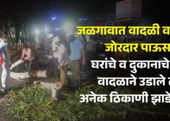 जळगावात वादळी वाऱ्यासह जोरदार पाऊस; घरांचे व दुकानाचे पत्र वादळाने उडाले तर अनेक ठिकाणी झाडे पडली