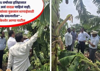 “माझ्या 25 वर्षांच्या इतिहासात मतदारसंघात असं वादळ पाहिलं नाही; तात्काळ शेतकऱ्यांच्या नुकसान भरपाईसाठी 100 टक्के प्रयत्नशील” – आमदार किशोर आप्पा पाटील