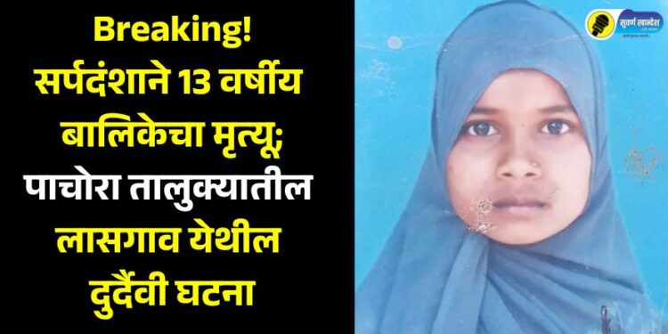 Breaking! सर्पदंशाने 13 वर्षीय बालिकेचा मृत्यू; पाचोरा तालुक्यातील लासगाव येथील  दुर्दैवी घटना