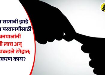 पारोळ्यात सागाची झाडे तोडण्याच्या परवानगीसाठी दोन वनपालांनी घेतली लाच अन् एसीबीने पकडले रंगेहात; नेमकं प्रकरण काय?