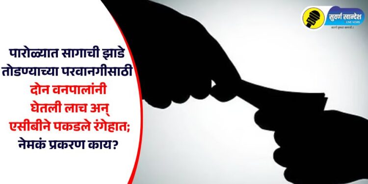 पारोळ्यात सागाची झाडे तोडण्याच्या परवानगीसाठी दोन वनपालांनी घेतली लाच अन् एसीबीने पकडले रंगेहात; नेमकं प्रकरण काय?