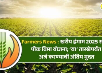 Farmers News : खरीप हंगाम 2025 साठी पीक विमा योजना; ‘या’ तारखेपर्यंत अर्ज करण्याची अंतिम मुदत