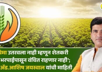 ‘पीक विमा उतरवला नाही म्हणून शेतकरी नुकसान भरपाईपासून वंचित राहणार नाही’; राज्यमंत्री ॲड.आशिष जयस्वाल यांची माहिती