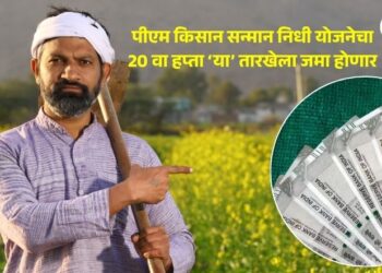 शेतकऱ्यांसाठी महत्वाची बातमी! पीएम किसान सन्मान निधी योजनेचा 20 वा हप्ता ‘या’ तारखेला जमा होणार