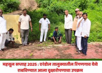 महसूल सप्ताह 2025 : एरंडोल तालुक्यातील रिंगणगाव येथे राबविण्यात आला वृक्षारोपणाचा उपक्रम