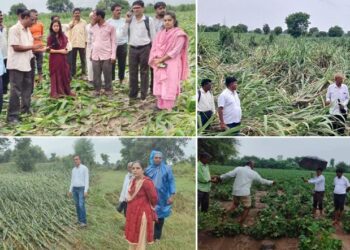 जळगाव जिल्ह्यातील 5 तालुक्यात अतिवृष्टी; नुकसानग्रस्त भागाचे प्रशासनाकडून पंचानामे, आजचा हवामान अंदाज नेमका काय?