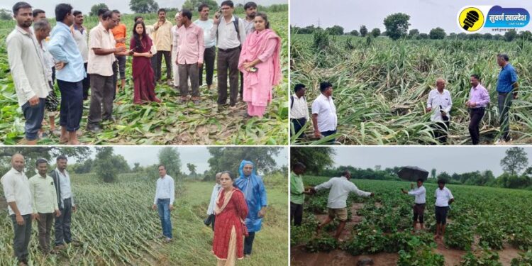 जळगाव जिल्ह्यातील 5 तालुक्यात अतिवृष्टी; नुकसानग्रस्त भागाचे प्रशासनाकडून पंचानामे, आजचा हवामान अंदाज नेमका काय?