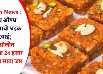 Jalgaon News : अन्न व औषध प्रशासनाची धडक कारवाई; शिरसोलीत मिठाईचा 24 हजार रूपयांचा साठा जप्त