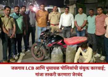 Video | जळगाव LCB आणि भुसावळ पोलिसांची संयुक्त कारवाई; गांजा तस्करी करणारा जेरबंद