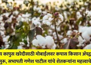 CCI starts registration process for cotton purchase through Cotton Kisan app on mobile, Chairman Ganesh Patil makes an important appeal to farmers