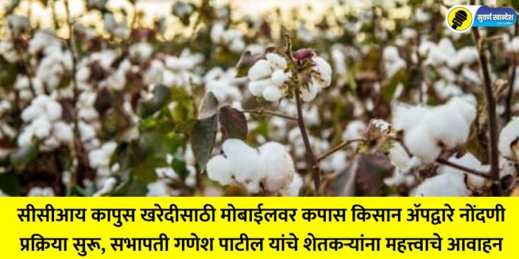 CCI starts registration process for cotton purchase through Cotton Kisan app on mobile, Chairman Ganesh Patil makes an important appeal to farmers