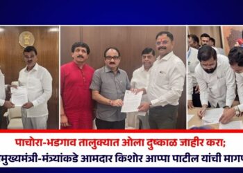 पाचोरा-भडगाव तालुक्यात ओला दुष्काळ जाहीर करा; उपमुख्यमंत्री-मंत्र्यांकडे आमदार किशोर आप्पा पाटील यांची मागणी