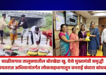 चाळीसगाव तालुक्यातील बोरखेडा खु. येथे मुख्यमंत्री समृद्धी पंचायतराज अभियानांतर्गत लोकसहभागातून वनराई बंधारा बांधकाम