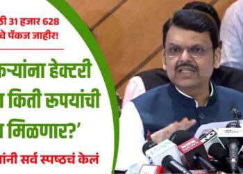 Video | शेतकऱ्यांसाठी 31 हजार 628 कोटी रूपयांचे पॅकज जाहीर! ‘शेतकऱ्यांना हेक्टरी नेमके किती रूपये मिळणार?’, मुख्यमंत्र्यांनी सर्व स्पष्ठचं केलं