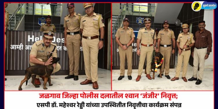 जळगाव जिल्हा पोलीस दलातील श्वान ‘जंजीर’ निवृत्त; एसपी डॉ. महेश्वर रेड्डी यांच्या उपस्थितीत निवृत्तीचा कार्यक्रम संपन्न
