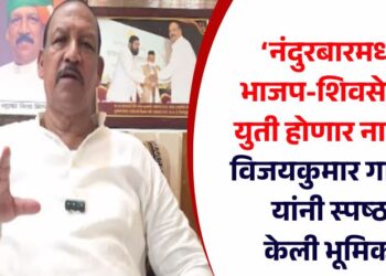 ‘नंदुरबारमध्ये भाजप-शिवसेनेची युती होणार नाही!’, विजयकुमार गावित यांनी स्पष्ठ केली भूमिका