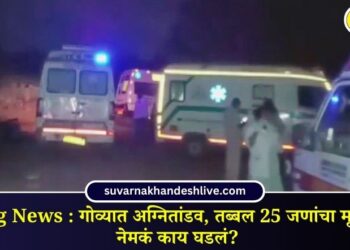 25 killed in Goa nightclub fire Read full news