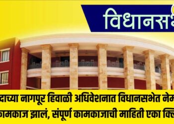 How much work was actually conducted in the Legislative Assembly during this year's Nagpur winter session? Get complete information about the proceedings with just one click...