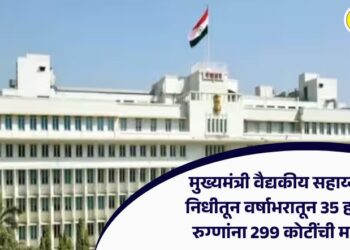 मुख्यमंत्री वैद्यकीय सहाय्यता निधीतून वर्षाभरातून 35 हजार रुग्णांना 299 कोटींची मदत