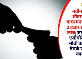 Breaking! नवीन वीज मीटरसाठी वायरमनने घेतली 2 हजार रूपयांची लाच; जळगावात एसीबीने केली मोठी कारवाई, नेमकं प्रकरण काय?
