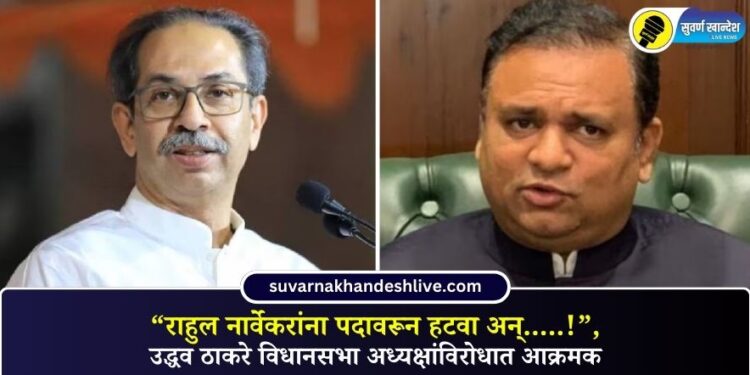 Video | “राहुल नार्वेकरांना पदावरून हटवा अन्…..!”, उद्धव ठाकरे विधानसभा अध्यक्षांविरोधात आक्रमक