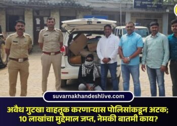 अवैध गुटखा वाहतूक करणाऱ्यास पोलिसांकडून अटक; 10 लाखांचा मुद्देमाल जप्त, नेमकी बातमी काय?