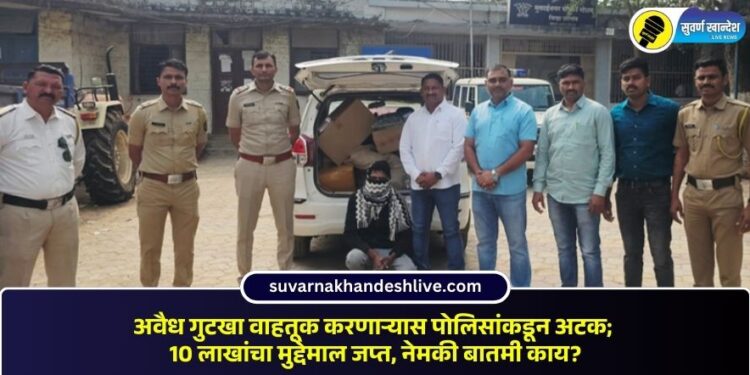 अवैध गुटखा वाहतूक करणाऱ्यास पोलिसांकडून अटक; 10 लाखांचा मुद्देमाल जप्त, नेमकी बातमी काय?