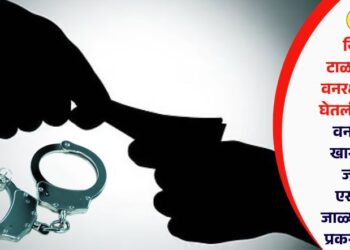 निलंबन टाळण्यासाठी वनरक्षकाकडून घेतली लाच अन् वनपालसह खासगी पंटर जळगाव एसीबीच्या जाळ्यात, नेमकं प्रकरण काय?