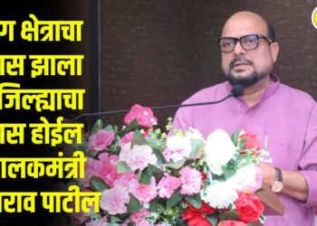 उद्योग क्षेत्राचा विकास झाला तर जिल्ह्याचा विकास होईल – पालकमंत्री गुलाबराव पाटील