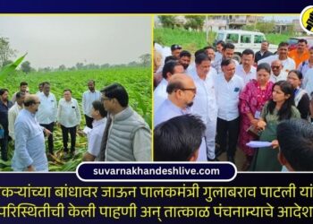 शेतकऱ्यांच्या बांधावर जाऊन पालकमंत्र्यांनी परिस्थितीची केली पाहणी अन् तात्काळ पंचनाम्याचे आदेश