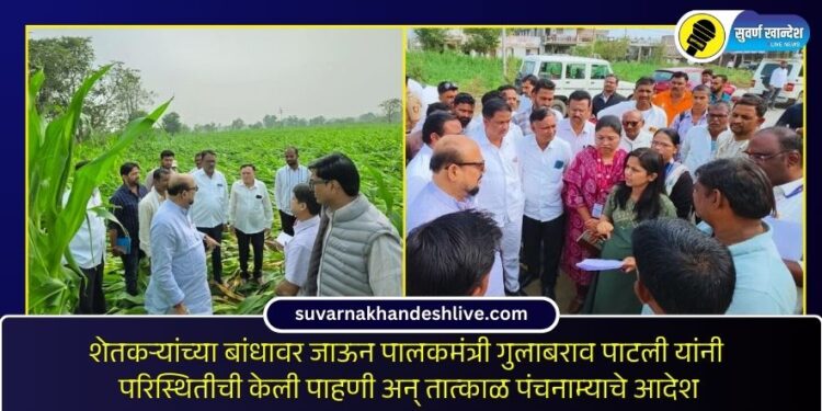 शेतकऱ्यांच्या बांधावर जाऊन पालकमंत्र्यांनी परिस्थितीची केली पाहणी अन् तात्काळ पंचनाम्याचे आदेश