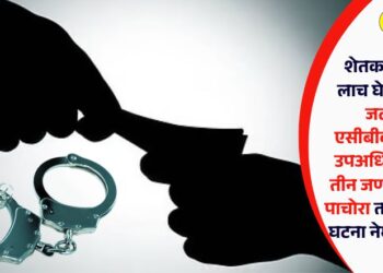 शेतकऱ्याकडून लाच घेणं भोवलं; जळगाव एसीबीकडून कृषी उपअधिकाऱ्यासह तीन जणांना अटक, पाचोरा तालुक्यातील घटना नेमकी काय?