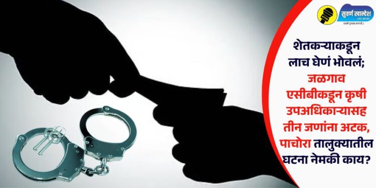 शेतकऱ्याकडून लाच घेणं भोवलं; जळगाव एसीबीकडून कृषी उपअधिकाऱ्यासह तीन जणांना अटक, पाचोरा तालुक्यातील घटना नेमकी काय?