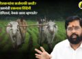 Video | शेतकऱ्यांना कर्जमाफी कधी? उपमुख्यमंत्री एकनाथ शिंदेंनी स्पष्टच सांगितलं, नेमकं काय म्हणाले?