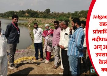 Jalgaon News: वडनगरीत प्रांताधिकारी थेट नदीपात्रात उतरले अन् अवैध वाळू उपसा संदर्भात केली मोठी कारवाई