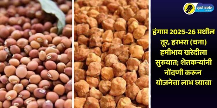 हंगाम 2025-26 मधील तूर, हरभरा (चना) हमीभाव खरेदीला सुरुवात; शेतकऱ्यांनी नोंदणी करून योजनेचा लाभ घ्यावा