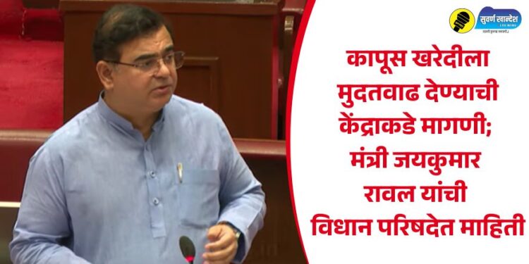 कापूस खरेदीला मुदतवाढ देण्याची केंद्राकडे मागणी; मंत्री जयकुमार रावल यांची विधान परिषदेत माहिती