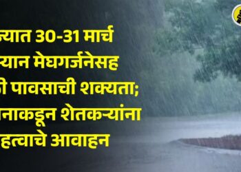 राज्यात 30-31 मार्च दरम्यान मेघगर्जनेसह वादळी पावसाची शक्यता; प्रशासनाकडून शेतकऱ्यांना महत्वाचे आवाहन