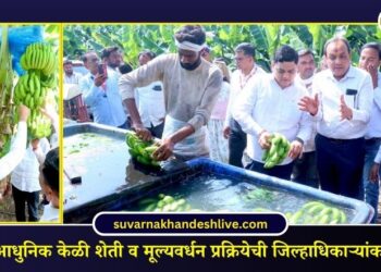 रावेरमध्ये आधुनिक केळी शेती व मूल्यवर्धन प्रक्रियेची जिल्हाधिकाऱ्यांकडून पाहणी