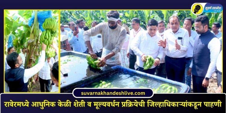 रावेरमध्ये आधुनिक केळी शेती व मूल्यवर्धन प्रक्रियेची जिल्हाधिकाऱ्यांकडून पाहणी